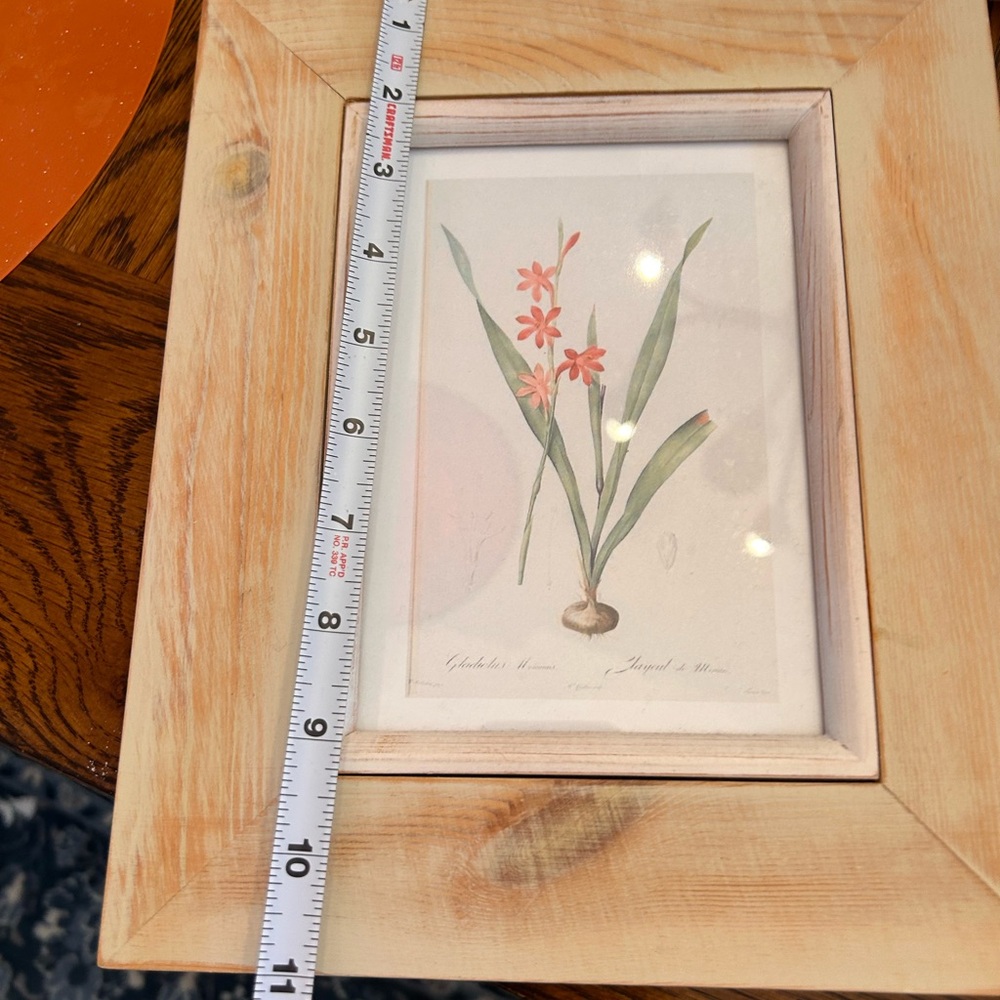 Natural Wood Framed Botanical Prints Set - Picture 4 of 9